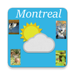 Montreal, Quebec - weather, sights and souds