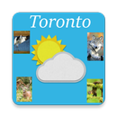 Toronto, Ontario - weather, sights and sounds APK