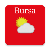 Bursa 아이콘