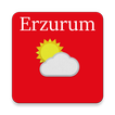 Erzurum Hava Durumu Tahmini