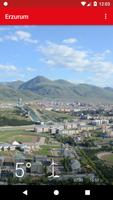 Erzurum plakat