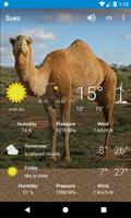Suez, EG - weather forecast and more screenshot 3