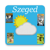 Szeged Zeichen