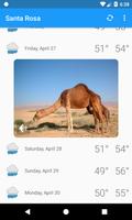 Santa Rosa,CA - weather and more screenshot 3