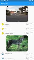 Clearwater, FL -  weather and more ảnh chụp màn hình 3