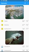 Clearwater, FL -  weather and more ảnh chụp màn hình 1
