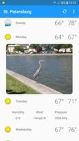 Saint Petersburg, Florida screenshot 2
