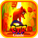 Guide Crash Bandicoot N Sane Trilogy APK