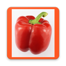 AtoZ Vegetables Prime APK