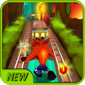 Crazy Run Jungle Dash Bandicoot