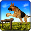 Dog Run Adventure Stunt Racing Simulator 3D 2017 aplikacja