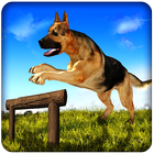 Dog Run Adventure Stunt Racing Simulator 3D 2017 icône