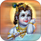 Sri Krishna Janmashtami Photo Frames icono