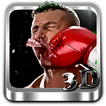 Crazy Boxing 3D