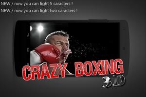 Crazy Boxing 3D Affiche