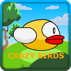 Crazy Bird icône