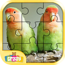Real Bird Jigsaw Puzzle: Beautiful Birds APK