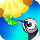 Bird Crazy Pop APK