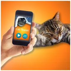 Kitten Teaser Simulator