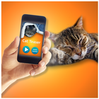آیکون‌ Kitten Teaser Simulator