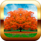 Puzzle for Kids - Autumn ikon
