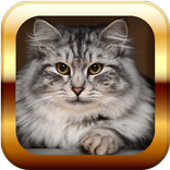 Cats and Kittens Puzzle