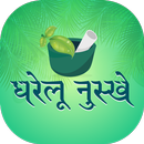 100+ Home Ayurvedic Recipe  : बेहतरीन घरेलू नुस्खे APK