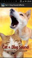 Cat + Dog Sound effects Plakat