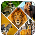 Wild Safari Quick Snapshot 3D أيقونة