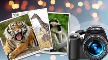 Wild Safari Quick Snapshot 3D Affiche