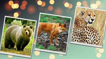 Wild Safari Quick Snapshot 3D تصوير الشاشة 1