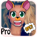 Snappy Photo Filters Stickers - Anime  Camera APK