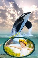 Dolphin Photo Montage स्क्रीनशॉट 1