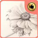 how to draw flower APK