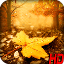 Fall Wallpapers APK