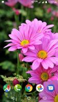 برنامه‌نما Flower Wallpaper عکس از صفحه