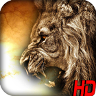 Lion Wallpaper icono