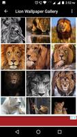 2 Schermata Lion Wallpaper