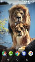 3 Schermata Lion Wallpaper