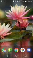 Lotus Flower & Water Lily Wallpaper capture d'écran 3