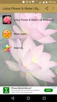 Lotus Flower & Water Lily Wallpaper Affiche