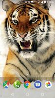 Tiger Wallpaper HD स्क्रीनशॉट 1