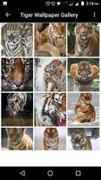 Tiger Wallpaper HD syot layar 2