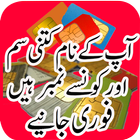 Icona Pak SIM Information : SIM Verification