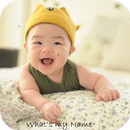 Hindu Baby Names With Meanings-APK