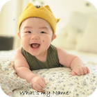 Hindu Baby Names ไอคอน