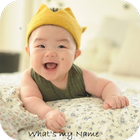 Hindu Baby Names आइकन