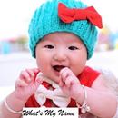 Sikh Baby Names-APK