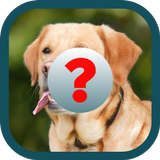 Guess Animals - Easy Spanish icône