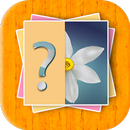 Flower Quiz Kids Games APK